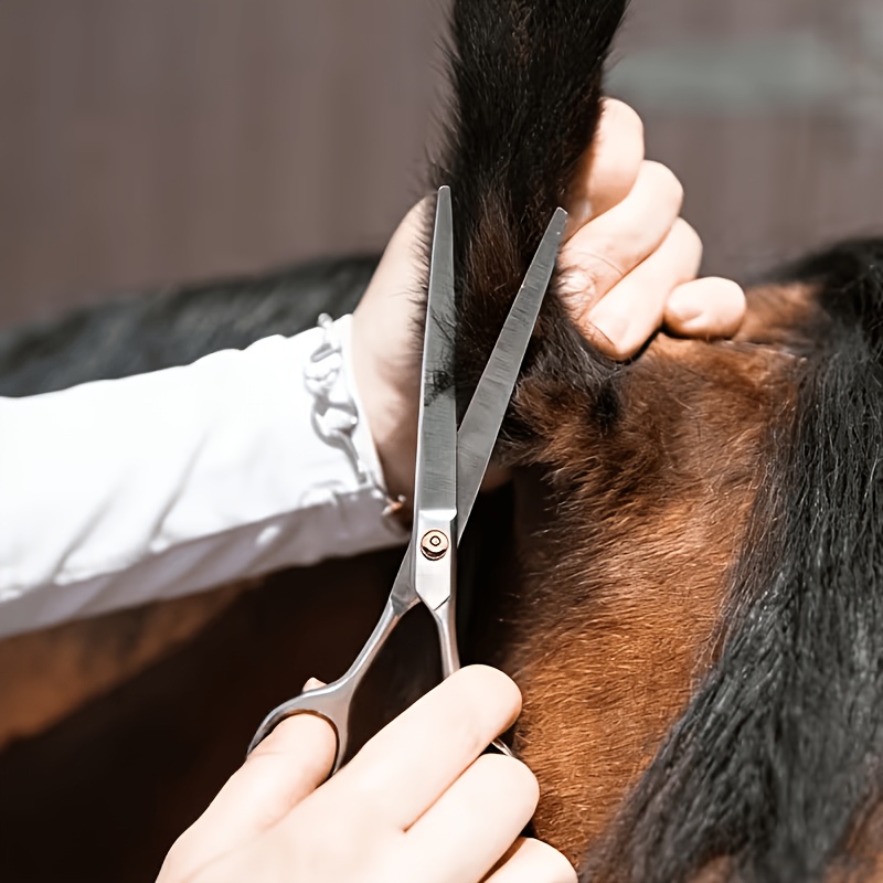 Grooming Kit Horse - 馬のグルーミングツールセット ステンレス製 細毛トリミングキット 馬のグルーミング、家畜のケア、ペットの毛の手入れ用