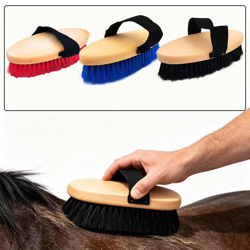 Grooming Kit Horse - 楕円形の馬用グルーミングカレーコーム、ハンドストラップ付き、耐久性のある乗馬用マッサージブラシ、馬の清掃とケア用、マルチカラー