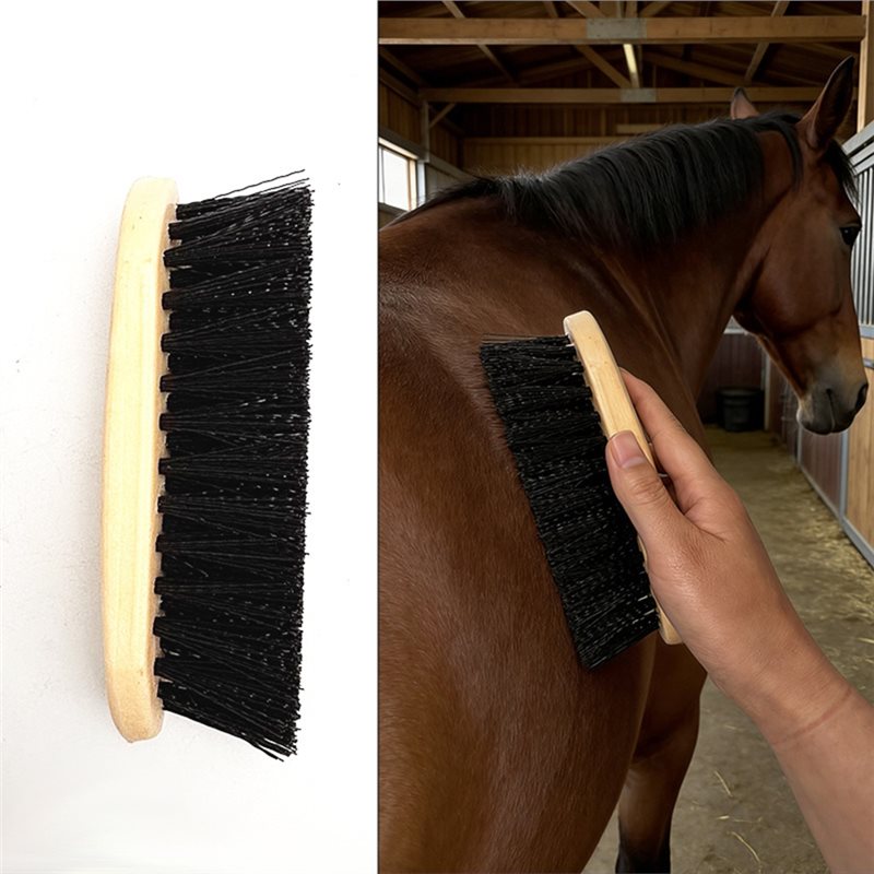 【特別商品】馬用グルーミングキット5点セット コーム、ボディ - Grooming Kit Horse のレビューと価格